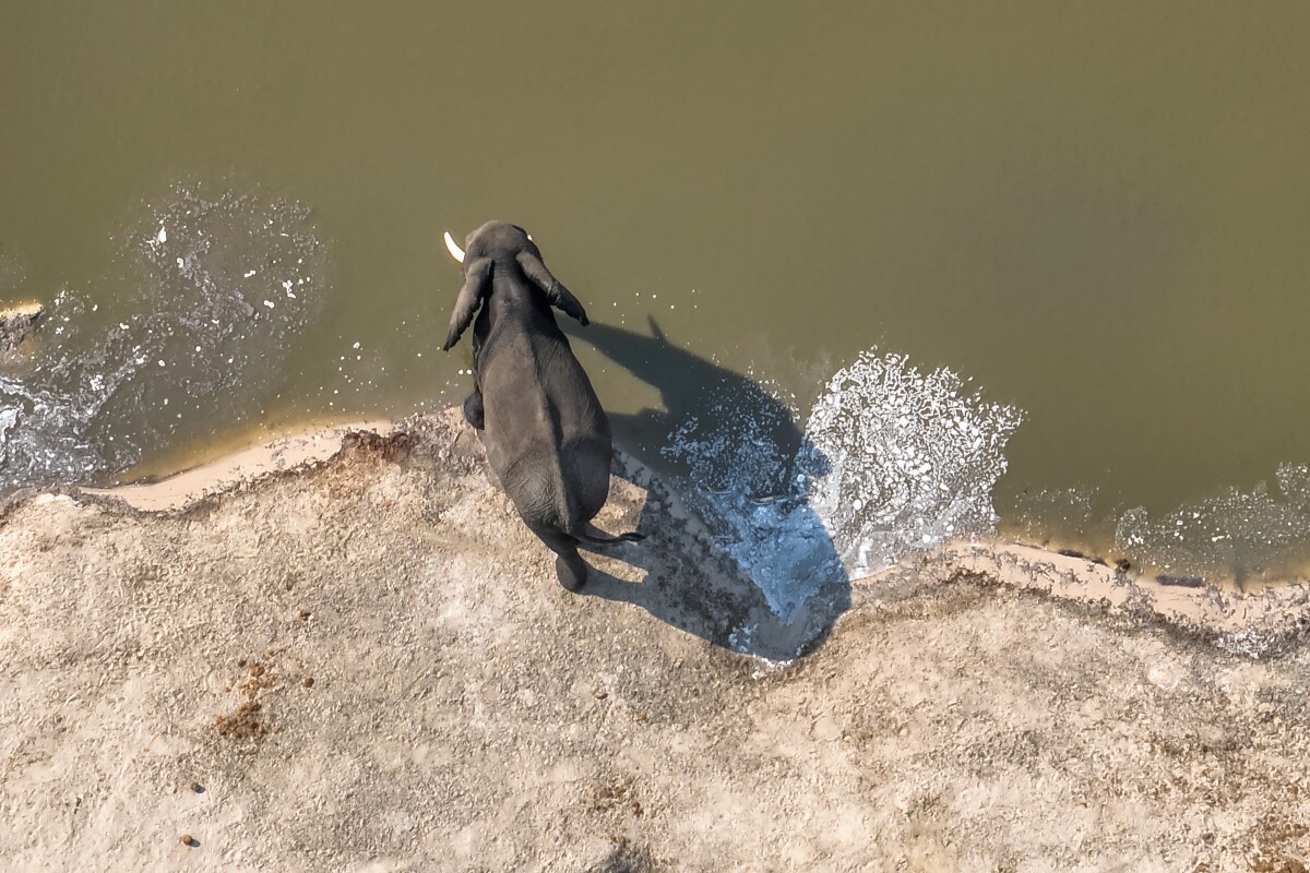 NatureEye lets online users fly real drones over amazing places
